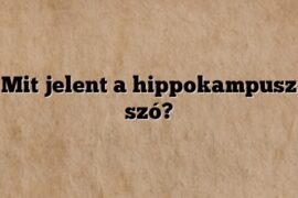 Mit jelent a hippokampusz szó?