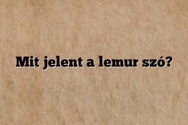 Mit jelent a lemur szó?