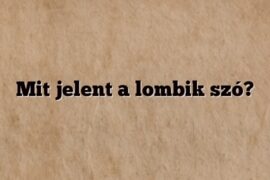 Mit jelent a lombik szó?