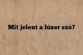 Mit jelent a lúzer szó?