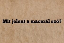 Mit jelent a macerál szó?