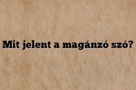 Mit jelent a magánzó szó?