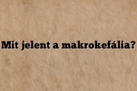 Mit jelent a makrokefália?