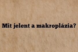 Mit jelent a makroplázia?