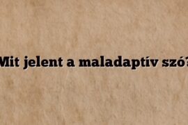 Mit jelent a maladaptív szó?