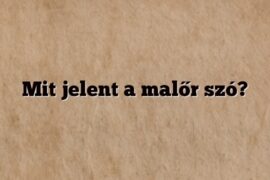 Mit jelent a malőr szó?