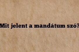 Mit jelent a mandátum szó?