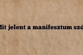 Mit jelent a manifesztum szó?